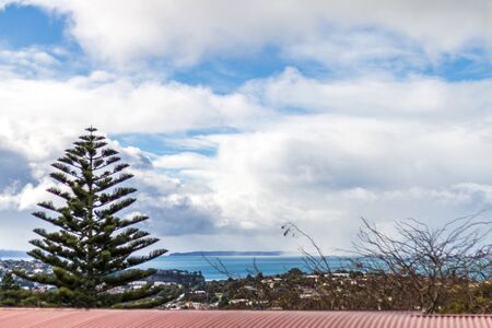 Browns Bay, Auckland, New Zealand.
