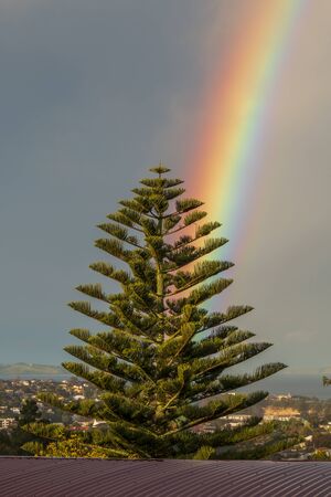 Rainbow view from the window in Browns Bay, Auckland, New Zealandの写真素材