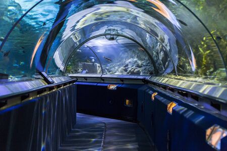 Underwater tunnel on the aquariumの写真素材