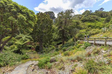 Wellington, New Zealand - November 09, 2019: Tourists at Wellington Botanical garden, New Zealandのeditorial素材