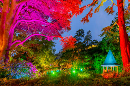 Wellington, New Zealand - January 15, 2020: Gardens Magic - Dazzling displays of light amongst the trees of Wellington Botanic Garden, New Zealand.のeditorial素材