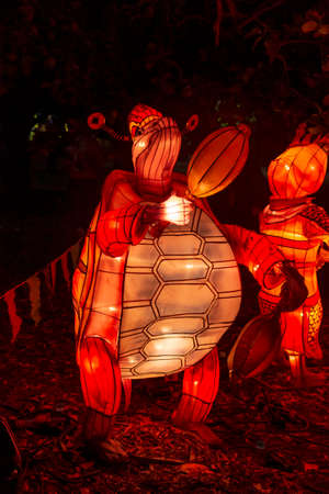 Auckland, New Zealand: February 09, 2017: Handmade Chinese lanterns at the Auckland Domain, New Zealand.のeditorial素材