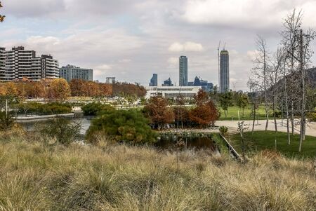 Skyline of buildings at Parque Bicentenario in Santiago de Chile.の写真素材
