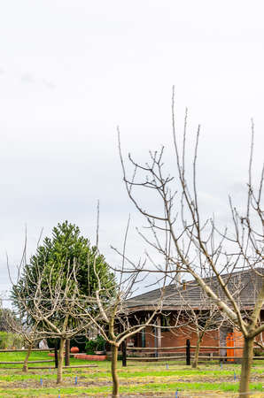 Countryside life landscape at early spring