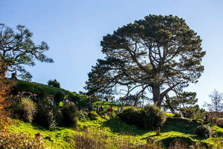 Matamata, New Zealand - June 07, 2017: Hobbiton, a movie set created for the filming of the Lord of the Rings and The Hobbit movies.のeditorial素材