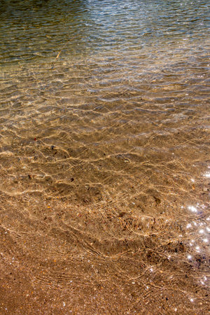 Venus flytrap (Dionaea muscipula), carnivorous plantの写真素材