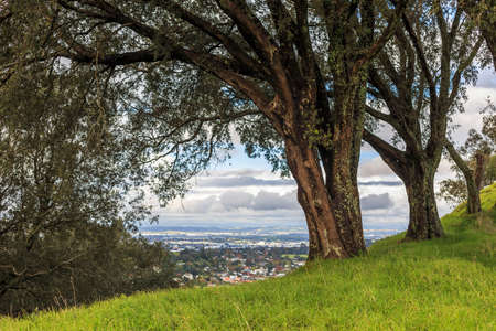 Auckland City from Mount Eden, Aukland, New Zealand.の写真素材