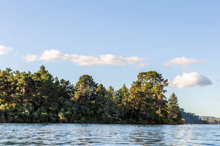 Shoreline of lake Taupo, New Zealandの写真素材