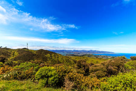 Wind Turbine farm in Wellington, New Zealand