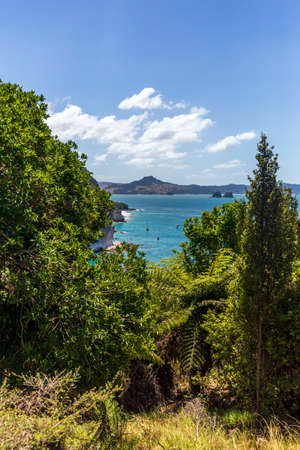 Coromandel Peninsula, North Island, New Zealandの写真素材