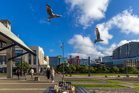 Wellington, New Zealand - August 25, 2018: Lion head fountain on the National War Memorial in Wellington, New Zealand.のeditorial素材