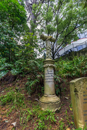 Wellington, New Zealand - June 29, 2019: Night view of The Whairepo Lagoon, formerly known as Frank Kitts Lagoon in Wellington, New Zealandのeditorial素材