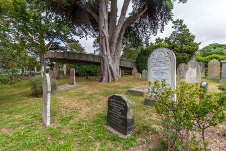 Wellington, New Zealand - June 29, 2019: Night view of The Whairepo Lagoon, formerly known as Frank Kitts Lagoon in Wellington, New Zealandのeditorial素材