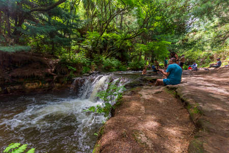 Wellington, New Zealand - December 13, 2019: Phil Krieg a dog walker having a walk at Wellington wind turbine in New Zealandのeditorial素材