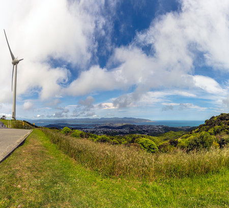 View of the wind turbine between the tree at Hawkins Hill, New Zealandの写真素材