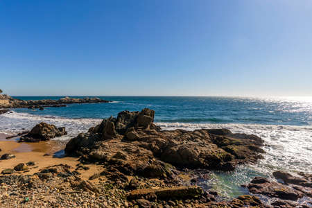 A beautiful day at the Botanical gardensの写真素材