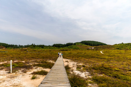 Taupo, New Zealand - December 23, 2019: People visiting the geothermal fields Craters of the Moon in Taupo, New Zealandのeditorial素材