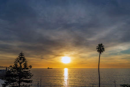 Orange on display at the marketの写真素材