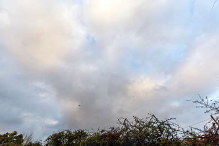 Orange on display at the marketの写真素材