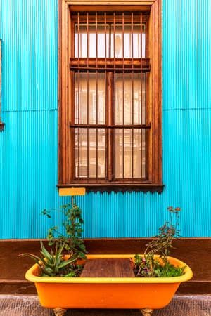 Orange on display at the marketの写真素材