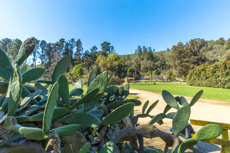 Orange on display at the marketの写真素材