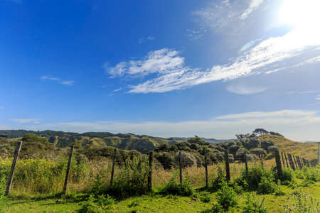 Nature green hills with blue sky in New Zealand