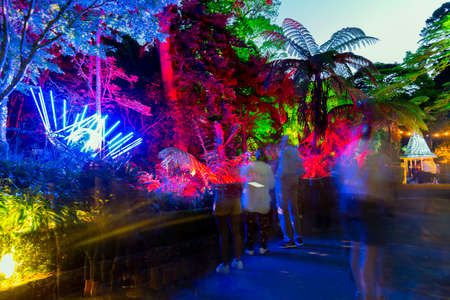 Wellington, New Zealand - January 14, 2021: People enjoy Gardens Magic with dazzling displays of light amongst the trees of Wellington Botanic Garden, New Zealandのeditorial素材