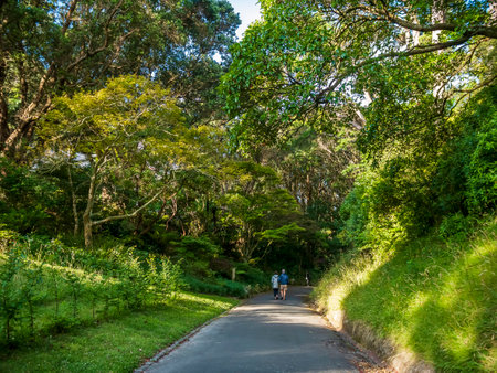 Auckland, New Zealand - January 08, 2020: Beautiful entrance of a house on Parnell in Auckland, New Zealandのeditorial素材
