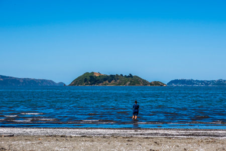 Wellington, New Zealand - January 16, 2022: Woman enjoying the water in Petone Beach in Wellington,...