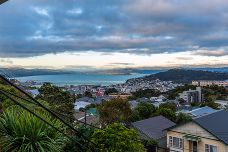 Beautiful day over Wellington city, New Zealandの写真素材