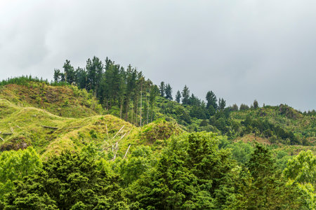 Beautiful rainy landscape in the countryside of New Zealand