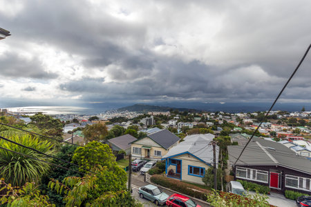 A foggy day in Wellington, New Zealandの写真素材