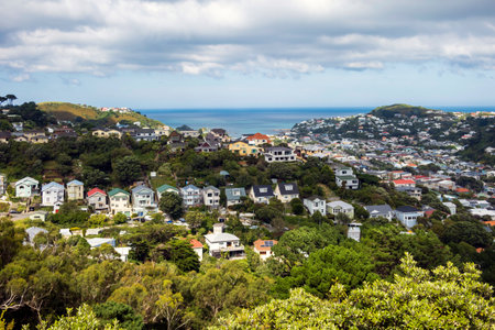 View from the top of Island Bay in Wellington, New Zealandの写真素材