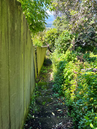 Enchanted overgrowth, nature old stairway path