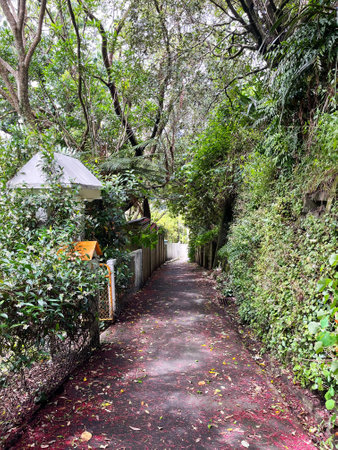 Wellington, New Zealand - January 12, 2023: Serene walking path surrounded by lush plants in the Brooklyn suburb of Wellington, New Zealandのeditorial素材