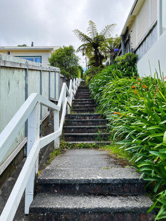 Wellington, New Zealand - January 17, 2023: Beautiful view of the stairs in Brooklyn connecting Mitchell St with Karepa St in Wellington, New Zealandのeditorial素材