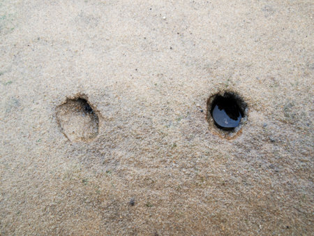 Two Small Holes in Wet Sand, One Filled with Water and the Other Empty