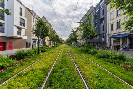 Strasbourg, France - May 13, 2024: Greenery Along Strasbourg Tram Tracks in Urban Street