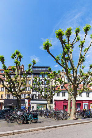 Strasbourg, France - May 13, 2024: Bicycles parked under pollarded trees in a vibrant Strasbourg...