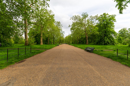 Tree-Lined Pathway in Kensington Gardens, London
