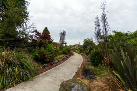 Curved Pathway Surrounded by Diverse Greenery in Parkの写真素材
