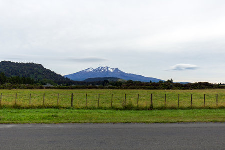 Scenic Meadow with Mount Ruapehu in Ohakune, New Zealandの写真素材