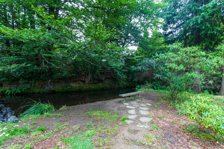 A peaceful stream in New Zealandの写真素材