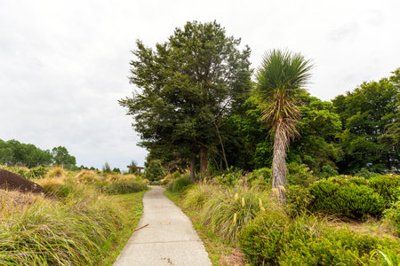 A serene pathway at Ohakune Carrot Adventure Park in New Zealandの写真素材