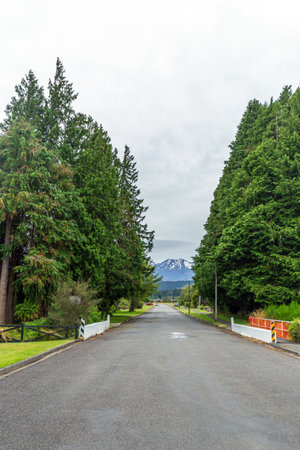Tree-Lined Street Leading to Mount Ruapehu in Ohakune, New Zealandの写真素材
