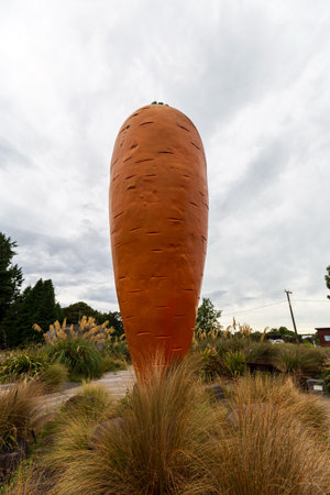 Ohakune, New Zealand - January 28, 2024: A towering carrot statue stands proudly amidst lush greenery at Ohakune Carrot Adventure Park, New Zealandの写真素材