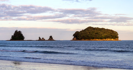 Cluster of Lush Islands at Golden Hour in Whangamataの写真素材