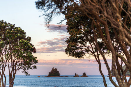 A picturesque view of distant islands framed by coastal trees as the sun sets over Whangamata, New Zealandの写真素材