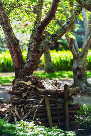 Wood Pile Stacked Under Shady Trees in Gardenの写真素材