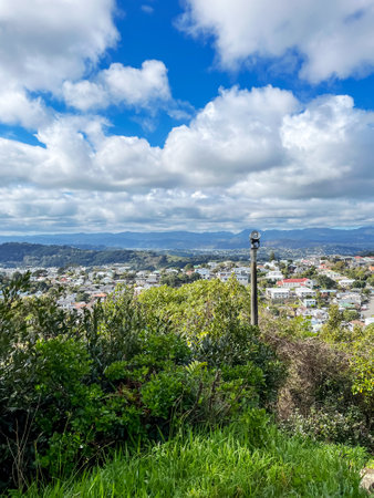 Scenic View of Wellington from Brooklyn Suburb Under Dramatic Skyの写真素材